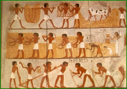 L'agriculture a permis l'essor de la civilisation égyptienne