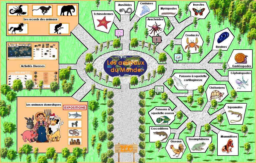Carte du zoo virtuel