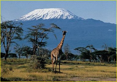 Un volcan actif : le Kilimandjaro en Tanzanie