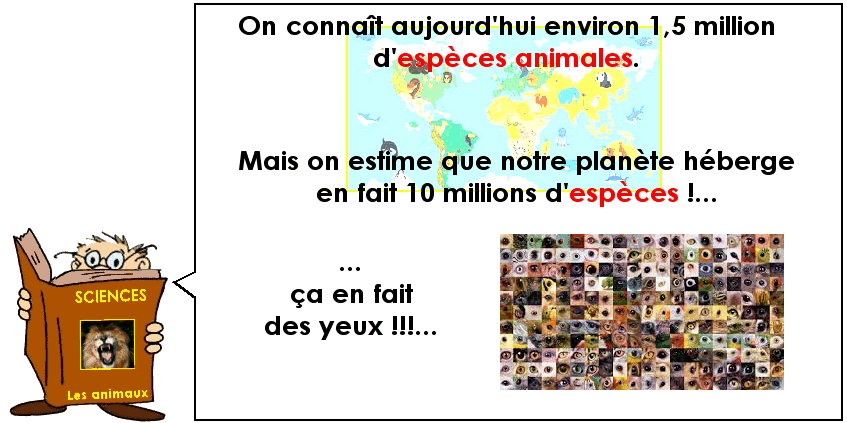 Soutien67 : Sciences - Reconnaissance des animaux