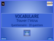 Vocabulaire - Les champs lexicaux : Questionnaire