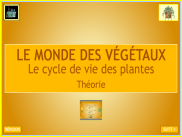 Sciences : Les végétaux - le cycle de vie des végétaux