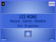 Grammaire - Les noms : Questionnaire