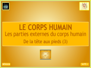 Sciences - Le corps humain (4)