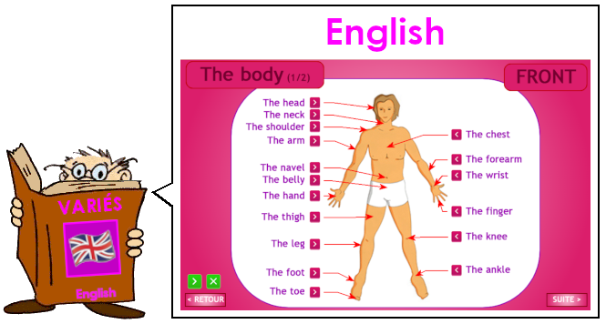 Soutien67 : Anglais - The body