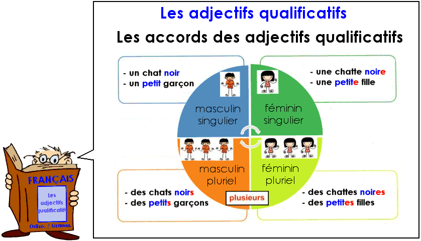 Soutien67 : Accorder les adjectifs
