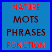Lien vers la grammaire
