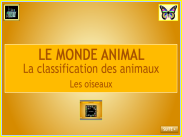 Le monde animal : diaporama - Les oiseaux