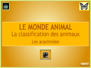 Le monde animal : diaporama - Les arachnides