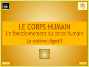 Sciences - Le fonctionnement du corps humain : le système digestif