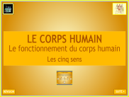 Sciences - Le fonctionnement du corps humain : Les 5 sens