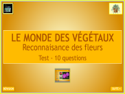 Les végétaux : reconnaissance des fleurs