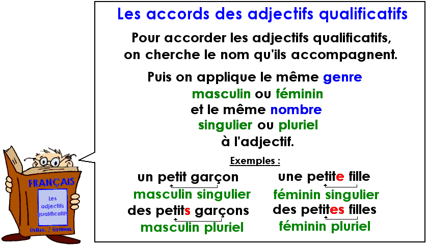 Accorder les adjectifs qualificatifs