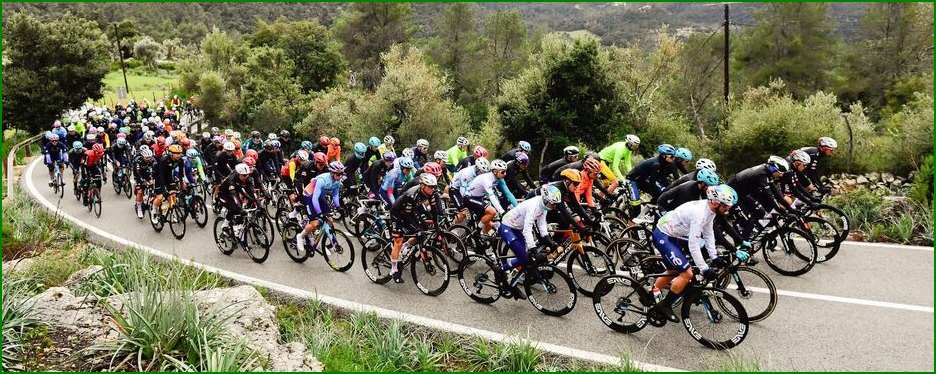 Un peloton de cyclistes