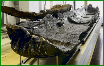 Les premiers bateaux au néolithique