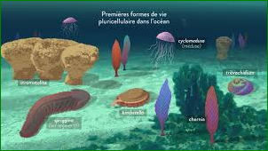 La vie est apparue dans les océans