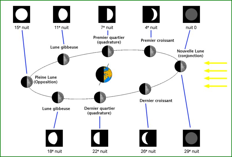 Une lunaison : Orbite de la Lune et phases vues depuis la Terre