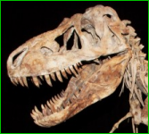 Disparition des dinosaures