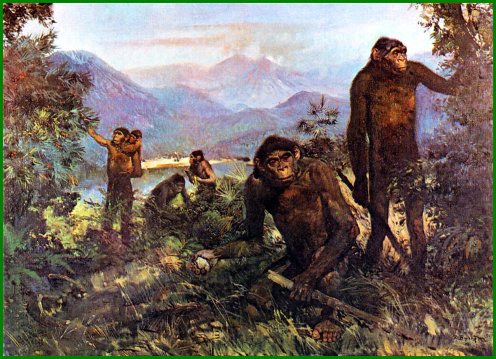 Mode de vie des Homo habilis