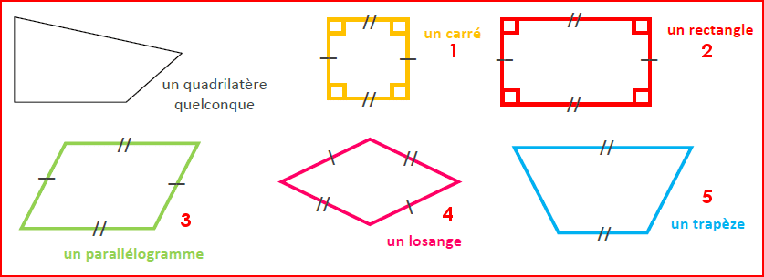 Géométrie : les quadrilatères (1)