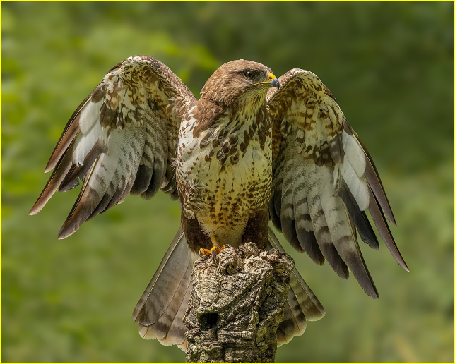 Photo d'une buse variable