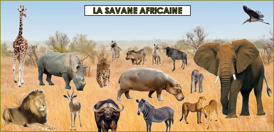 les animaux dans la savane africaine