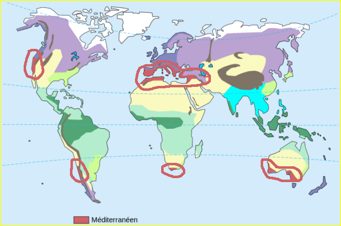 Carte du climat méditerranéen